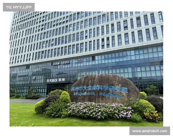 全方位深度解读洛塞尔索球风特点及其多维技术优势的系统化研究解析