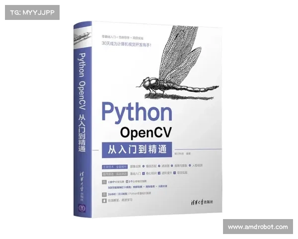 拳击规则全景解析从入门到精通全面指南